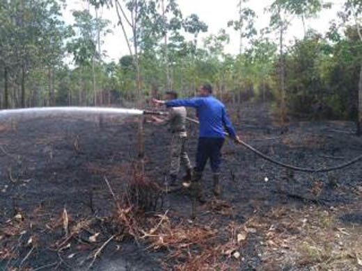 Kebun Karet di Desa Tanjung Rambutan Kampar Terbakar